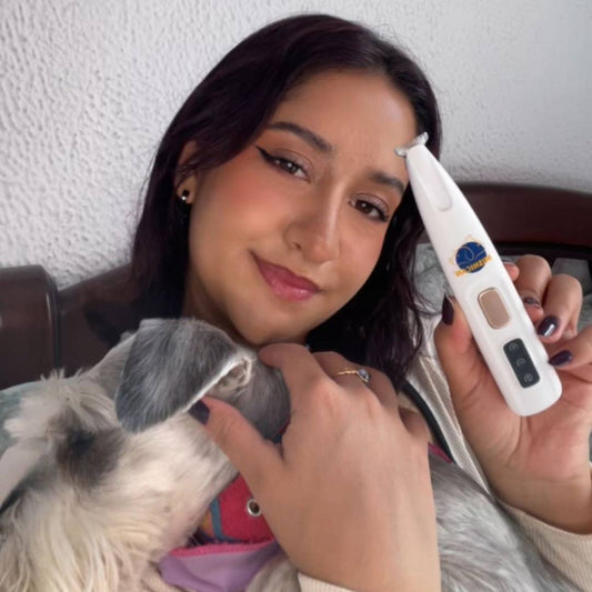 ¿Cómo preparar a tu perro antes de un corte de pelo?