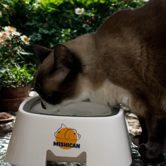 Bebedero antiderrames para perros