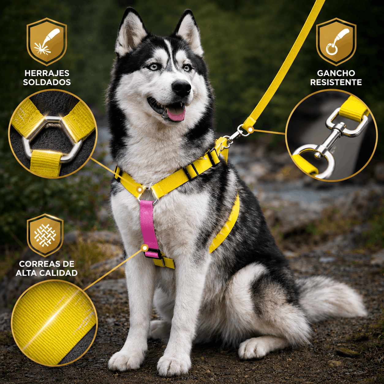 Pechera Antijalones tipo H – Localizable & Personalizable