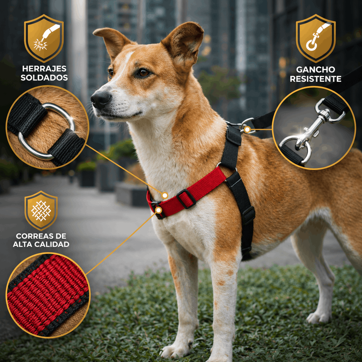 Pechera Antijalones tipo Y – Localizable & Personalizable