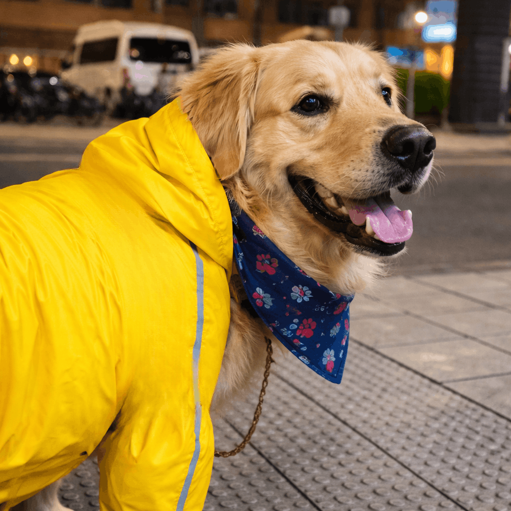 Impermeable-completo-GPS-3