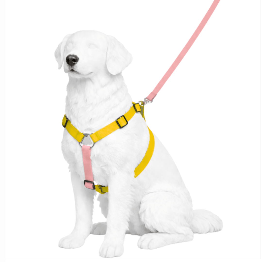 Pechera Antijalones en H para perros – Rastreo y comodidad