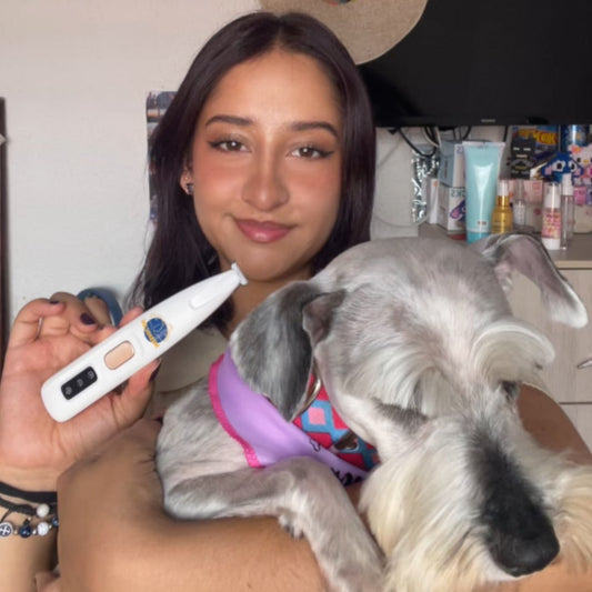 Rasurador para perros – Corte seguro y sin estrés