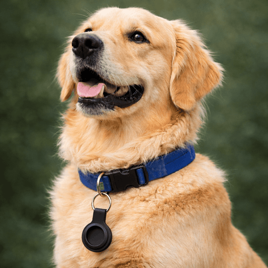 Soporte para localizador – Compatible con cualquier collar