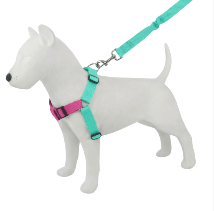 pechera-antijalones-Y-perros-mishican-6